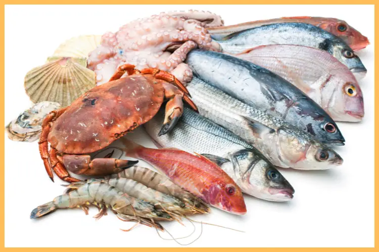 ¿Qué vitaminas y beneficios tiene los alimentos del mar?