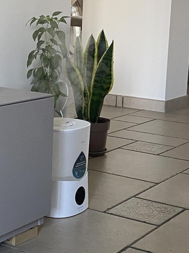 Humidificador para dormitorio: guia para elegir el mejor humidificador dormitorio cecotec uso